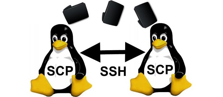 Копирование файлов Lunix (через SCP)